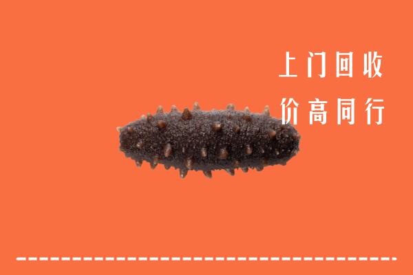 高价求购：漯河回收海参