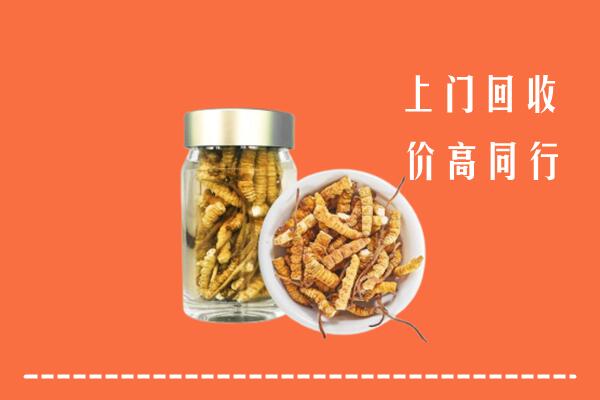 漯河回收冬虫夏草