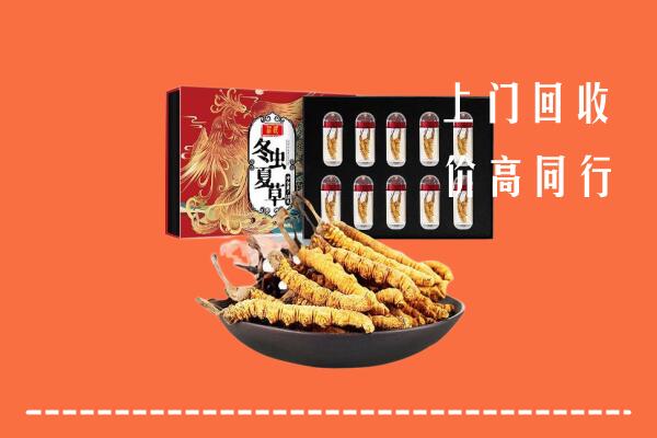 漯河回收虫草